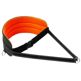 LASALINE Belly Strap for Canicross Dogtrekking, Ski Jöring, Touring, Dog Sports in Black/Neon Orange