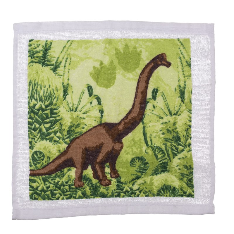 MIK funshopping Set of Magic Washcloths, Magic Cloth, Magic Towel,