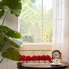 Modern Flower Container, Rectangular Acrylic Flower Vase, Acrylic Flower Box,