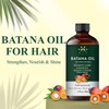 AVD Organics Pure Batana Oil 50ML – Hair & Skin