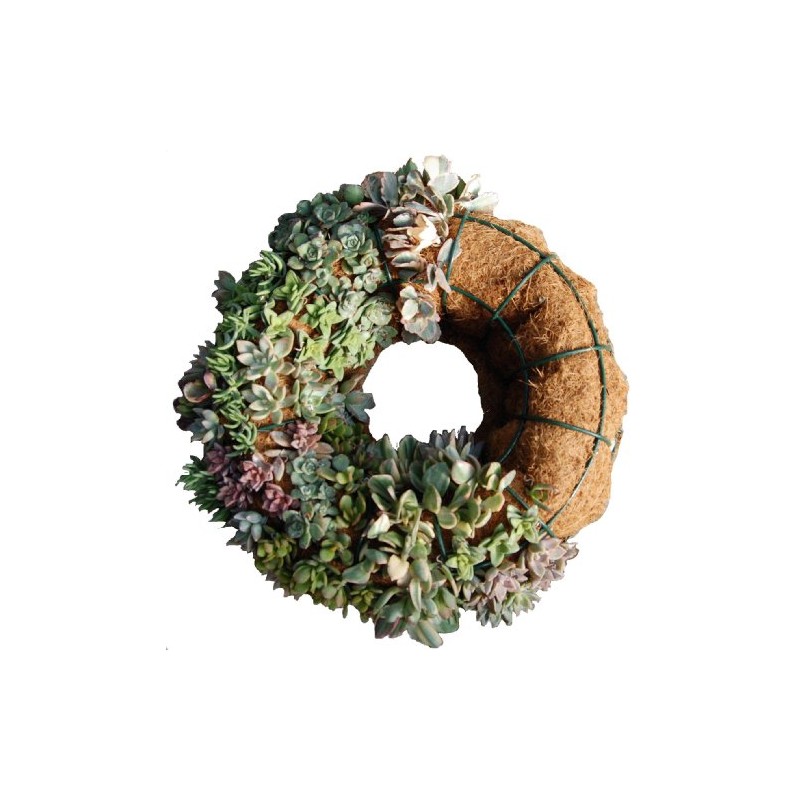 20" Living Wreath Wire Form with Coco Liner - 11"