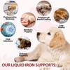 Liquid Iron Supplements for Dogs - with Folate and B12