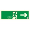 Eltai TSN 801 Emergency Exit TSN Series Fire Service Certified