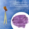 Lifting Sling Hoist Webbing 1T Polyester Rigging Strap Purple for