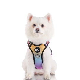 LED Dog Harness, Lighted Up Dog Harness, No-Pull Dog Harness with 2 Leash Clips, Adjustable Soft Padded Dog Vest, Reflective No-Choke Pet Oxford Vest with Easy Control Handle (Rainbow, Small)