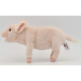 BH6455 HANSA ブタ２３