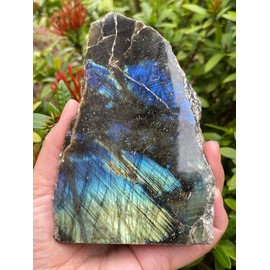 GAF TREASURES Natural Labradorite Slab, High Flash Free Standing Display Specimens, Raw Labradorite Slab Cut Base (4-5 lbs)