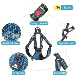 BAAPET Breathable Dog Harness for Small Puppy, Medium Dogs Step-in and Air Mesh with 6 Feet Reflective Rope Dog Leash (XL - 6 FT x Chest (24~28''), Blue)