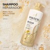 Pantene PRO-V Science Shampoo Molecular Bond Repair para Cabello muy