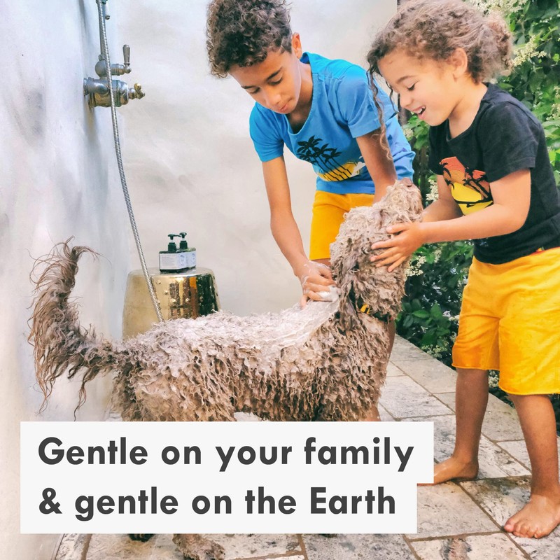 HAPPYBOND Deep Clean Shampoo for Dogs, 250 ml