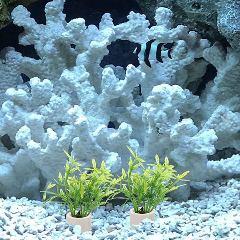 POPETPOP Pack of 5 Aquarium Ring Aquatic Plants, Ceramic Water