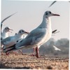 Hohopeti Pigeons Leg Rings 100 Pack Plastic Clip Rings for