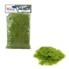 WWScenics | 2mm Spring Static Grass |30g | WSG2-002 |
