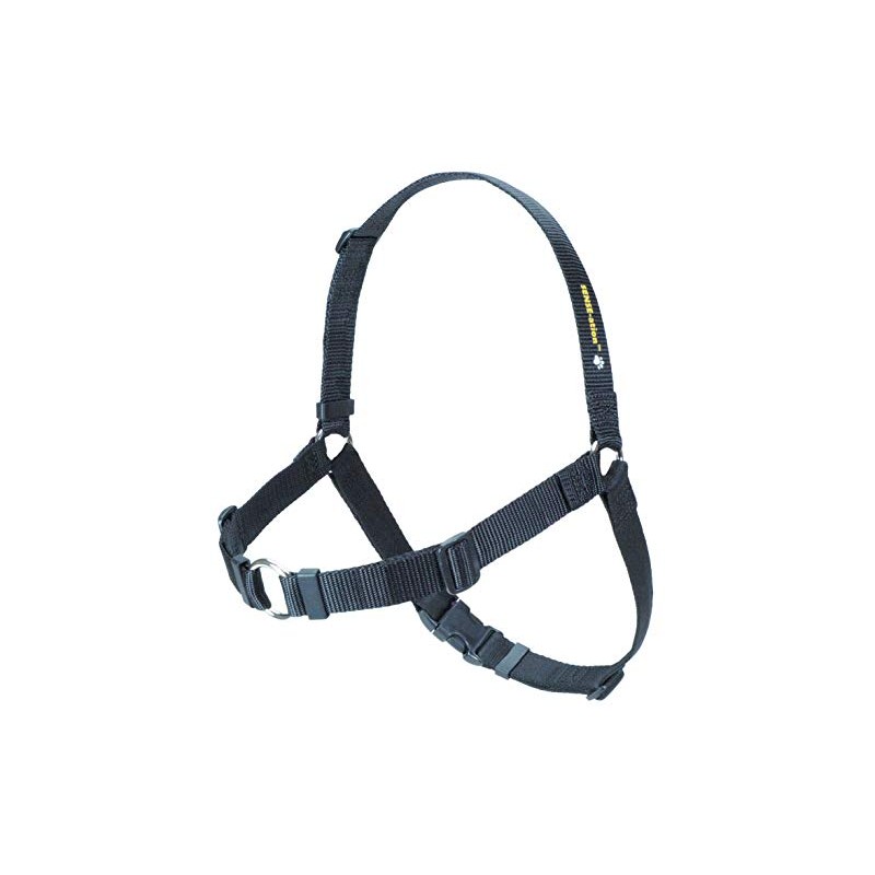 SENSE-ation No-Pull Dog Harness - 3/4" Wide Medium/Large