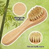 Universo en Linea 2 Cepillos Faciales Exfoliantes Mango Madera Cerda
