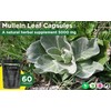Mullein Leaf Extract for Lungs | High Strength 5000mg Mullein
