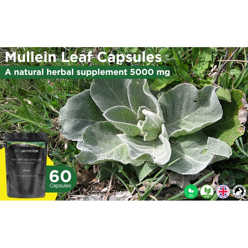 Mullein Leaf Extract for Lungs | High Strength 5000mg Mullein