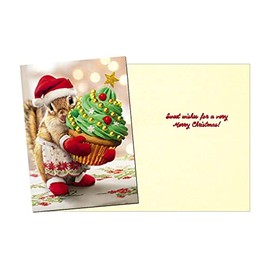 Avanti Press Christmas Cards with Envelopes, Sweet Wishes, Pack of 10,Multicolor,703536