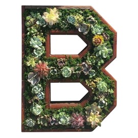 QUINTRA Decorative Wall Wooden Letters with Artificial Succulents Bryophytes Vertical Artificial Garden Pots Living Wall Art Flower Pots (B, One Size)
