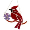 Studio Pro Pre-Cut Stained Glass Kit - Cardinal - Make