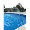 Jett Flo Pool Fountain & Cleaner for Inground and Above