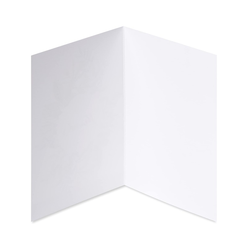 Papyrus Thank You Cards with Envelopes, Simple Leaf (14-Count)