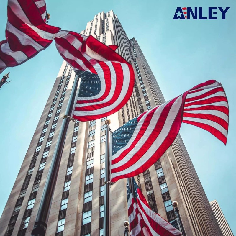 Anley 4 Pack Flagpole Clamp and Clip Kit Stainless Steel