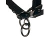 ProSafe Horse Headcollar in Black - Extra Padding - Adjustable