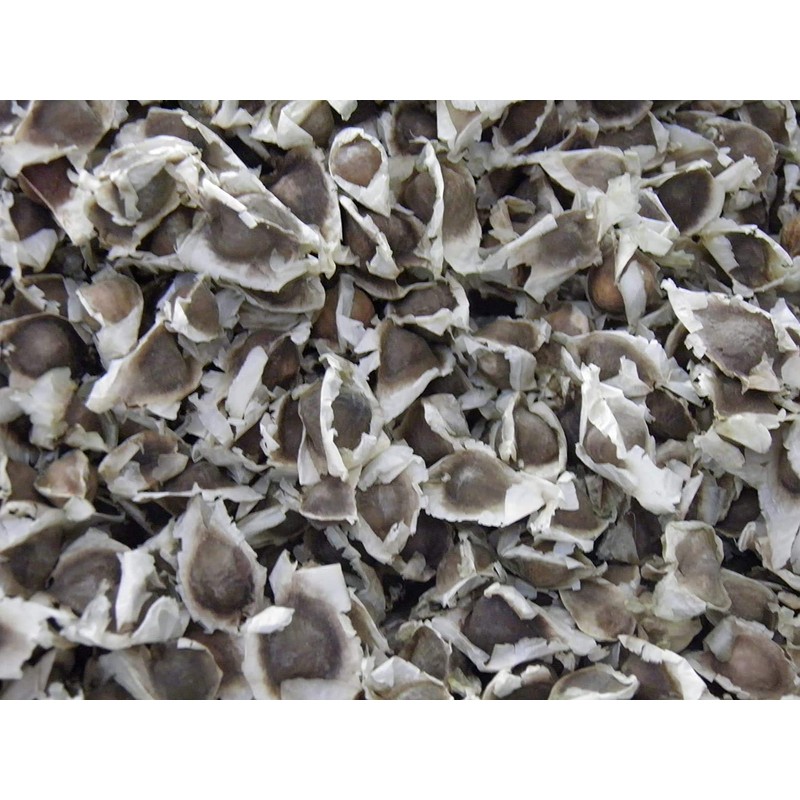 Yogi’s Gift | Moringa Seeds | 250g | Product of