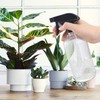 Wedama Glass Spray Bottles, 16 oz Glass Spray Bottles for