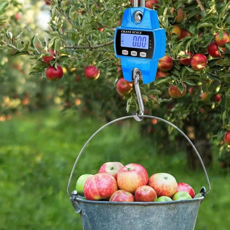 Fnbrli Báscula Industrial Lcd Digital Portátil Para Colgar 500 Kg