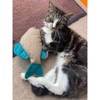 Petface Catkins Catnip Cat Toy Large Fish 26cm