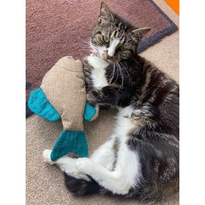 Petface Catkins Catnip Cat Toy Large Fish 26cm