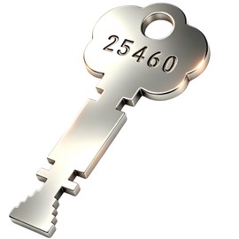 25460 Fire Alarm Key, Fits for Gamewell Fire Alarm Box, Christmas Tree Key, for Fire Fighting and Fire Rescue, Fire Alarm Box Key, 1 PCS
