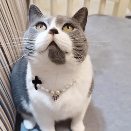 Adjustable Pearl Dog Collar & Cat Necklace - Vintage Bow & Heart Design, Decorative Pet Choker for Cats, Small and Medium Dogs (Red, XS (15-21cm / 5.9-8.3in))