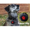 Dapper Dog - Dog Tag Silencer with Tag Ring (Black