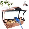 Window Bird Feeder, Metal Window Bird Feeder with Strong Suction