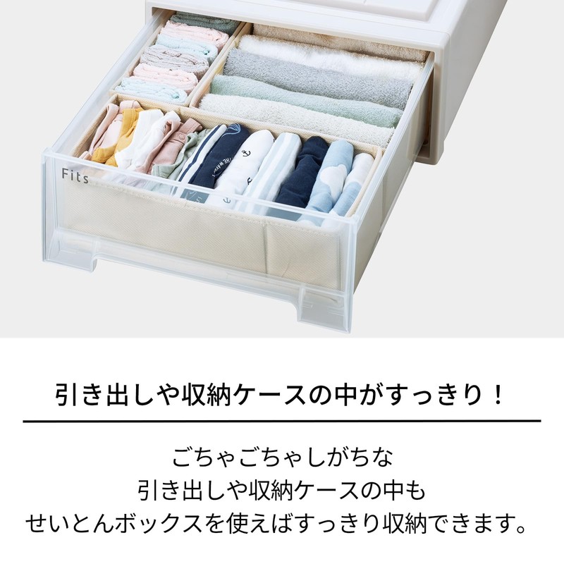 Tenma Seiton Box, S, 33L x 9W x 11H cm