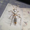 MindXplore 3D Insect Brass Puzzle, Steampunk Little Ant Model, Puzzle
