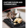 WowCatch Sticky Mouse Traps Indoor for Home - 16 Pack