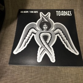 Toadies Hell Below/Stars Above 12x12 Album Cover Promo Poster DS