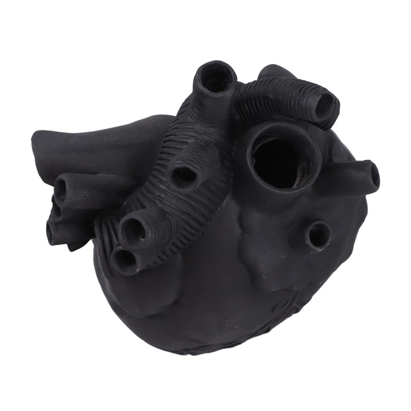 Creative Anatomical Heart Vases Resin Sculpture Heart Shaped Art Flower