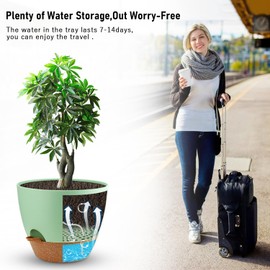 Ｄｏｒｃｙ 12 Inch Self Watering Planter,Large Plant pots with Deep Removable Reservoir and Multi Mesh Drainage Holes,Plastic Flower Pots for Garden Plants Outdoor Indoor (Green with Terracotta)