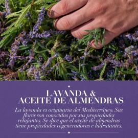 Sh. Herbal Essences Antifrizz Lavanda & Almendras 600 Ml