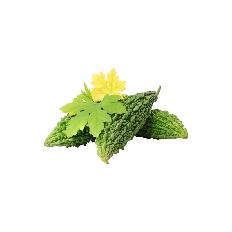 Rani Fresh Bitter Melon 14oz (400g) ~ All Natural |