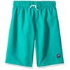 Speedo Swim Volley - Bañador para Hombre, Baño Tronco Largo