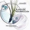 KÉRASTASE Bain Force Architecte | Shampoo reconstructor y fortalecedor |