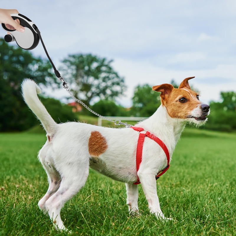 PUPTECK Retractable Dog Leash with Chew Proof Chain, 360°Tangle-Free Pet