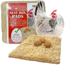 Pecking Order Nest Box Pads for Chicken Nesting Boxes - 13 x 13 Pads Made in USA from Sustainably Sourced Aspen Excelsior (10 Pack)