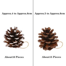 HOWAF Pack of 25 Natural Pine Cones, 5 to 6 cm Size Pine Cones for Crafts, Pine Cones Christmas Tree Pine Cones with String for Christmas Tree Decorations Advent Wreath Christmas Decoration